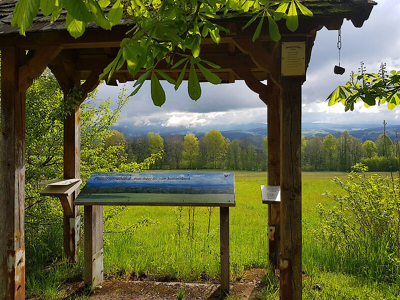 Wandern in der Arberregion Bayerischer Wald